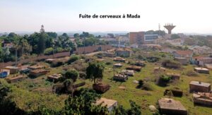 Article : Fuite de cerveaux : quand nos talents s&rsquo;envolent ailleurs